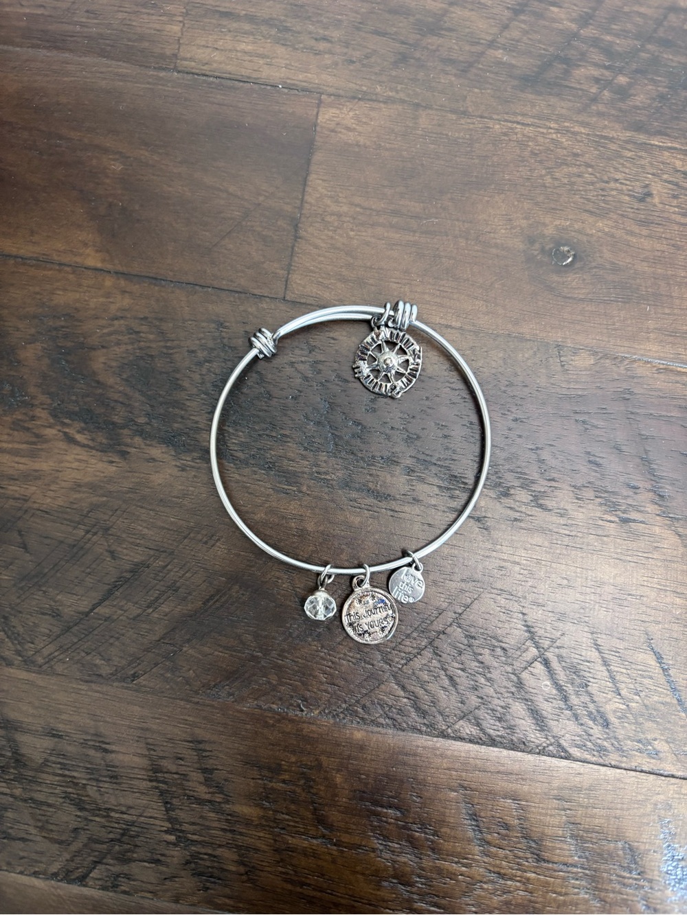 Cute and Versatile Silver Expandable Charm Bangle Bracelet with Coin Charms